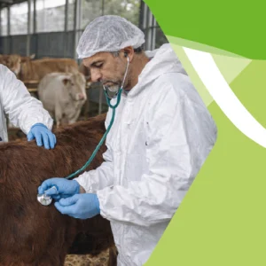 Corso di Formazione sul Benessere Animale per  Operatori Degli Ungulati