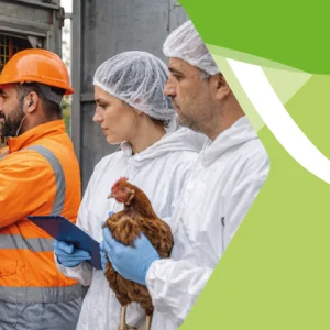 Corso di Formazione sul Benessere Animale per Trasportatori e per i Professionisti del Pollame e Altri Volatili in Cattività